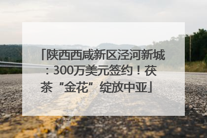 陕西西咸新区泾河新城：300万美元签约！茯茶“金花”绽放中亚